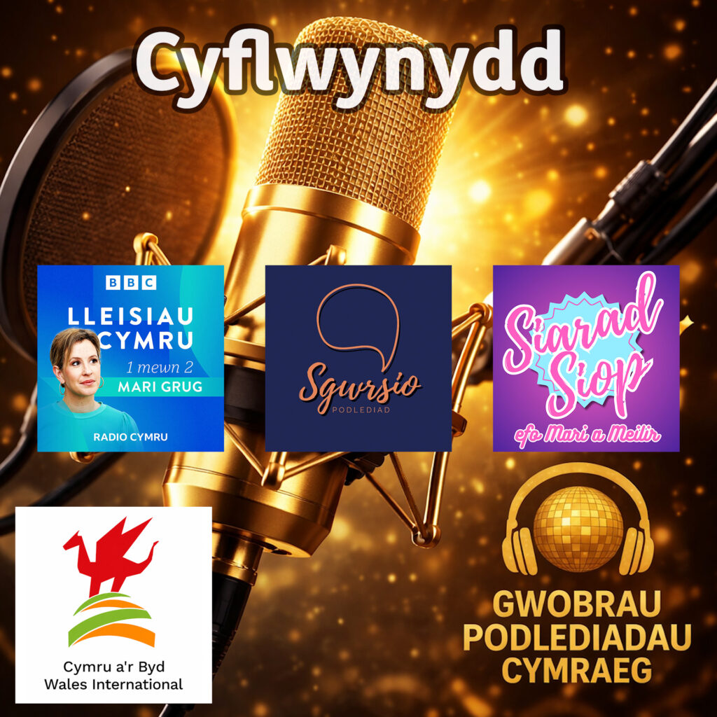 Cyflwynydd y flwyddyn 2026